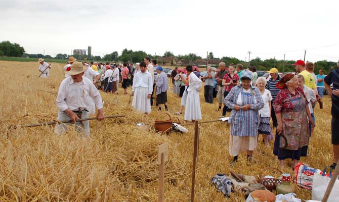 Aratás archív 2016.